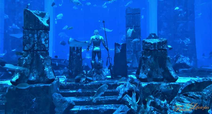 20 lost chamber aquarium