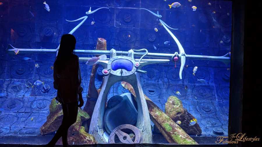08 lost chamber aquarium