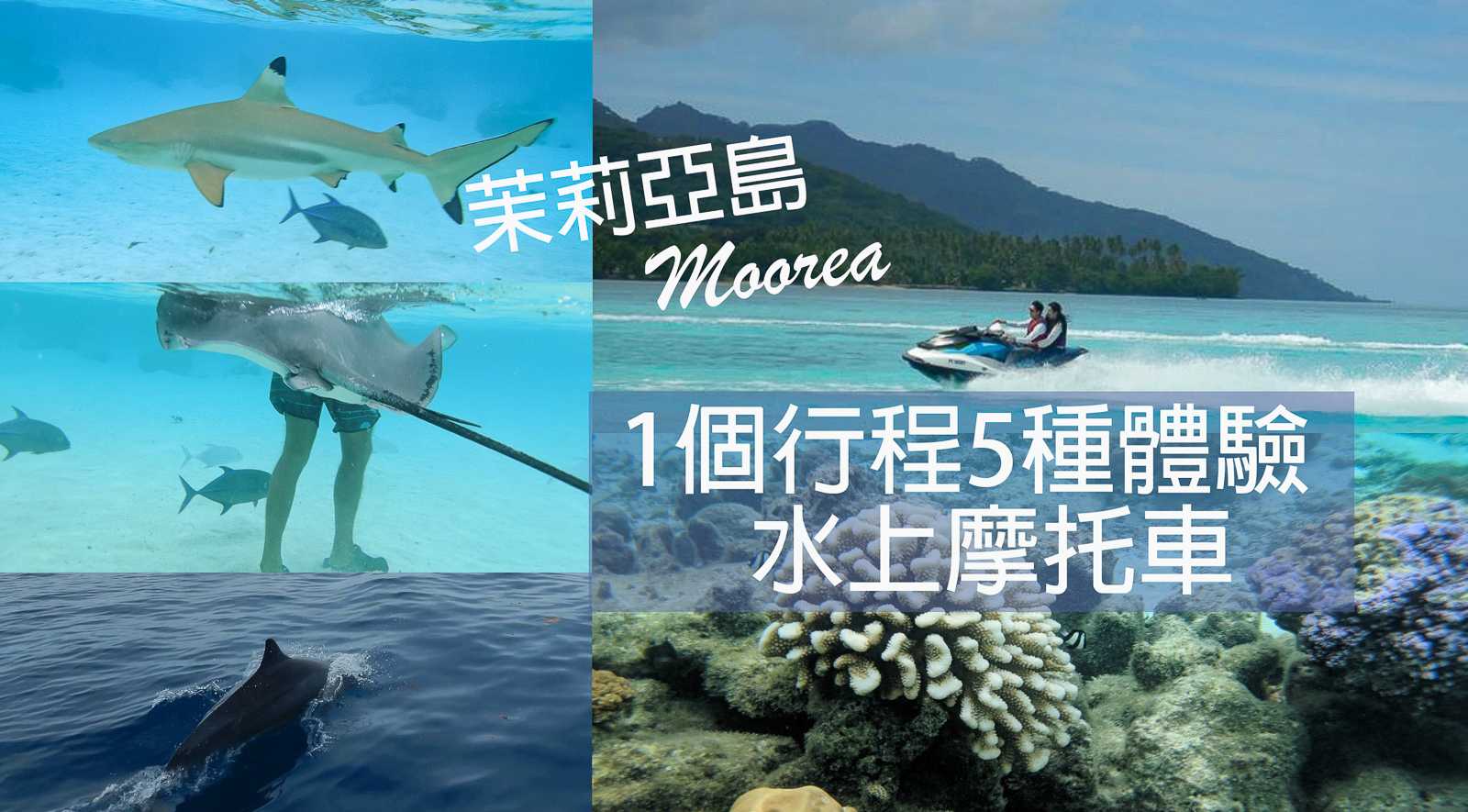【大溪地自由行】1個行程5種體驗｜茉莉亞島自由行必玩水上摩托車｜Jet Ski